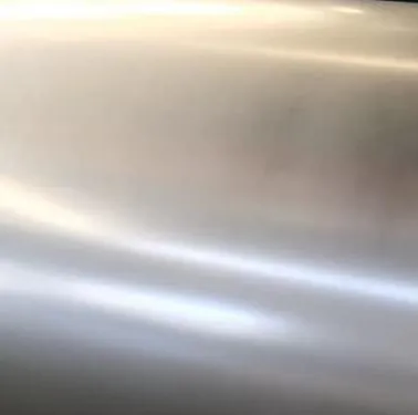 Best Price Printed Color Coated Steel Gi/Gl/PPGL/PPGI