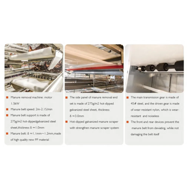 Galvanized Steel Automatic Chicken Cage with Adjustable Ventilation System for Low Maintenance Poultry Farming