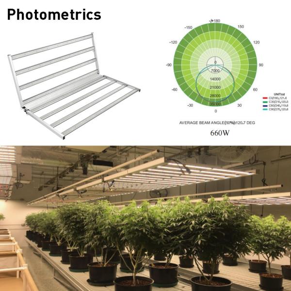 Waterproof E1 DLC 2.7umol/J Dimmable LED Grow Lights