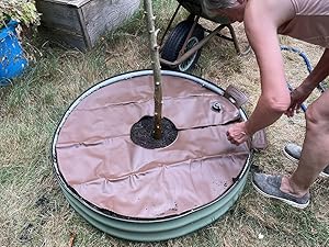ring bag