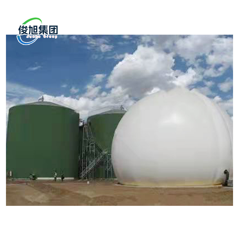 99% Purification Efficiency 5000 kg Biogas Desulfurization Tower for Purification