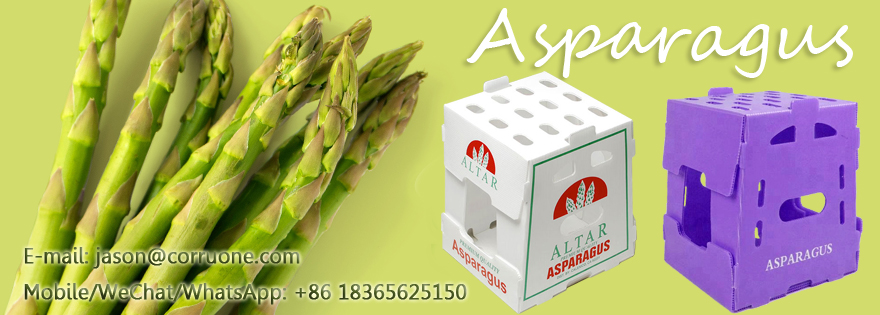 Correx Corn Vegetable Corrugated Boxes Corrugated Plastic Shipping Boxes