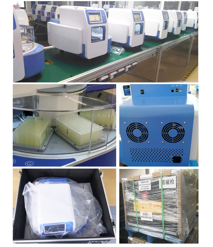 UV Lamp Automated Rotary Nucleic Acid Extraction System Isolation System 10 Inch