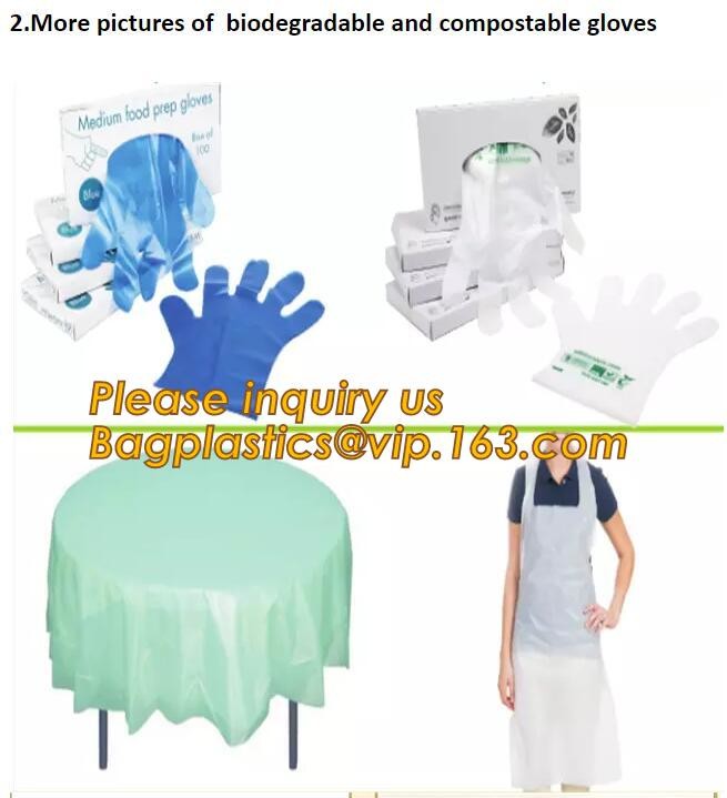 Biodegradable PE gloves Medical PE gloves disposable PE glove,Eco Friendly Disposable Transparent Home Use Pe Gloves