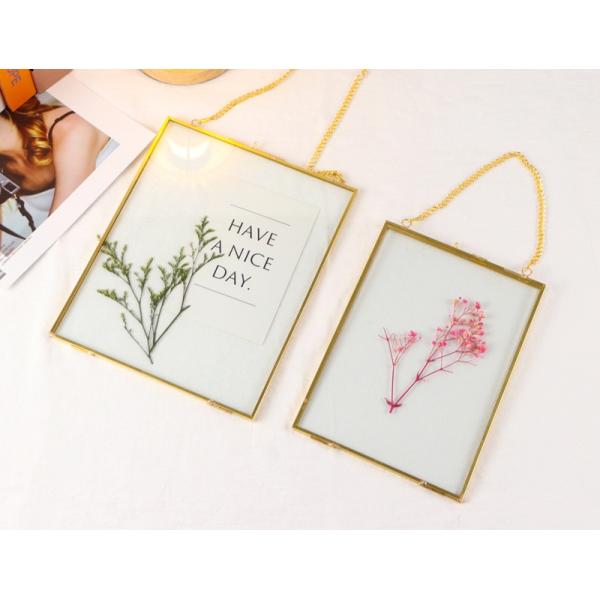 Gold copper quadrilateral metal photo frame glass artifact Dried flower clip Botanical specimen clip