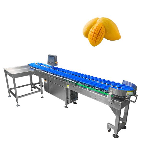 Quality Stainless Steel 304 Automatic Size Sorting Machine For Mango Fruit Vegetables Grading for sale