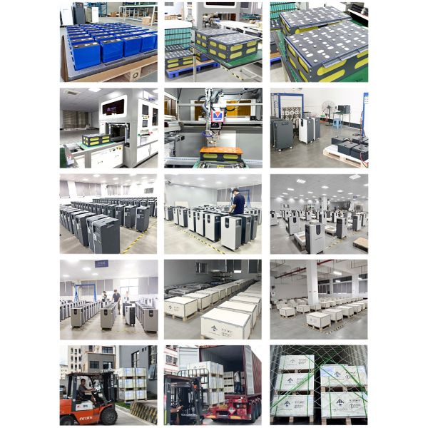 EXLIPORC Factory Profile