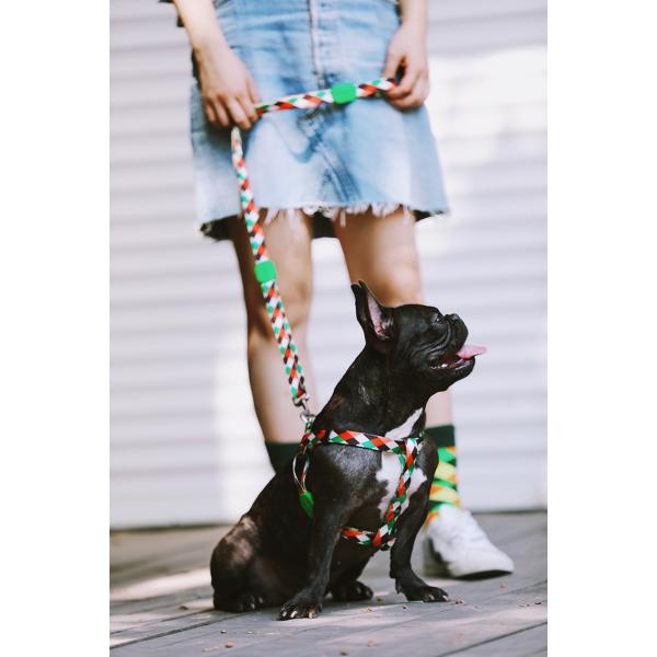 0.98 Inch Adjustable Neck Dog Harness