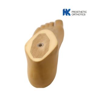 Fresh 14cm 220lbs Polyurethane SACH Prosthetics Foot