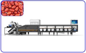 Precise Red Dates Sorting Machine 380V Stainless Steel 1 T/H Intelligent