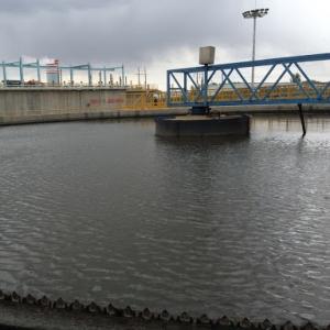 China Peripheral Transmission Sludge Scraper System , Stainless Steel Bottom Sludge Scraper wholesale