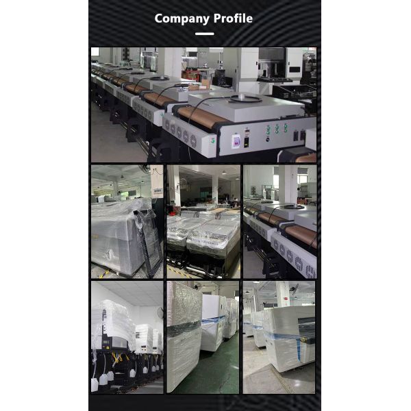 Small Footprint DTF Printing Machine With Mesh Belt Transport System Non Slip
