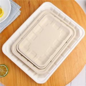China Eco Friendly Biodegradable Sugarcane Bagasse Tableware Disposable Compostable Food Tray on sale