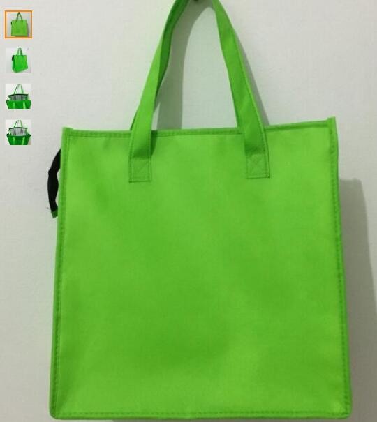 Customized logo printing insulated food delivery cooler bag,wholesale waterproof food delivery thermal bags bagplastics