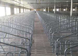 China SS304 Piggery Pregnancy Sow Gestation Stalls Swine Farrowing Crates wholesale