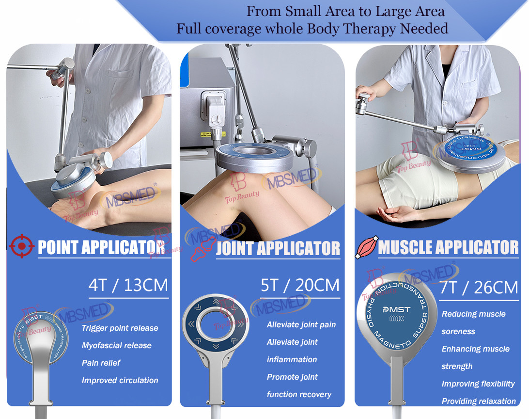 Pemf Magnetic Therapy Health Pulsed Electromagnetic Stimulation Therapy Pemf Device For Equines
