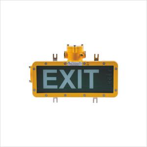 BAYD 85 Series Explosion Proof LED Emergency Exit Lighting Fixtures 4W