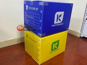 China Heavy Duty Printable Collapsible Corrugated Plastic Boxes wholesale
