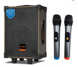 China OEM Portable Wooden Karaoke Party Speaker Dj Sound System Guitar Input wholesale