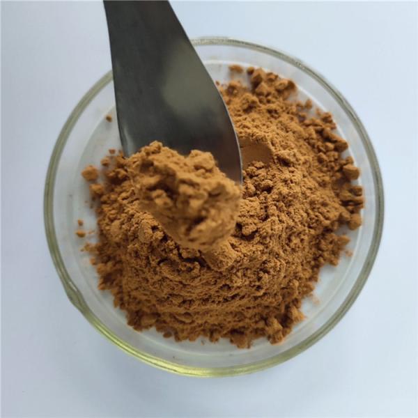 Burnet extract/sanguisorba officinalis root extract for immune anti-fatigue