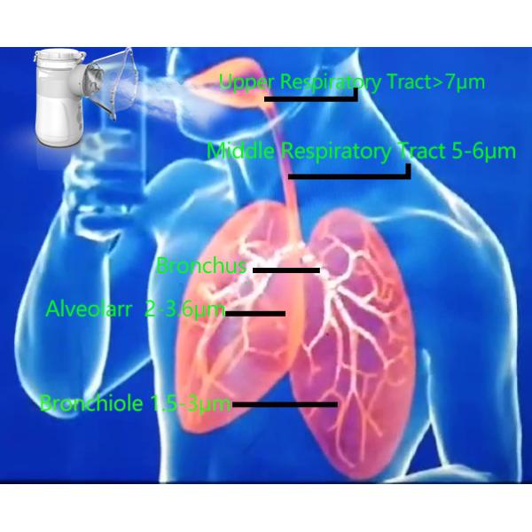 Kids Cough Cold Portable Home Nebulizer 0.35mL/Min DC USB Removable Battery