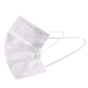 3 Ply Disposable Earloop Face Mask