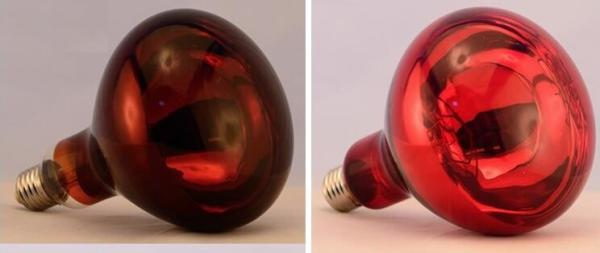 Quality Red infrared lamp 100W 150W 175W 200W 250W 275W animal chicken pig pet therapy infrared heating bulb for sale