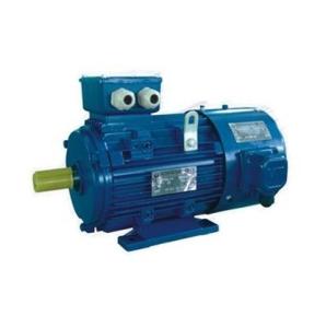 China YVP series frequency conversion speed regulating three-phase asynchronous motor wholesale