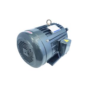China W22 Nema Premium Efficient Motors Table 12-12 2.2kw Horizontal wholesale