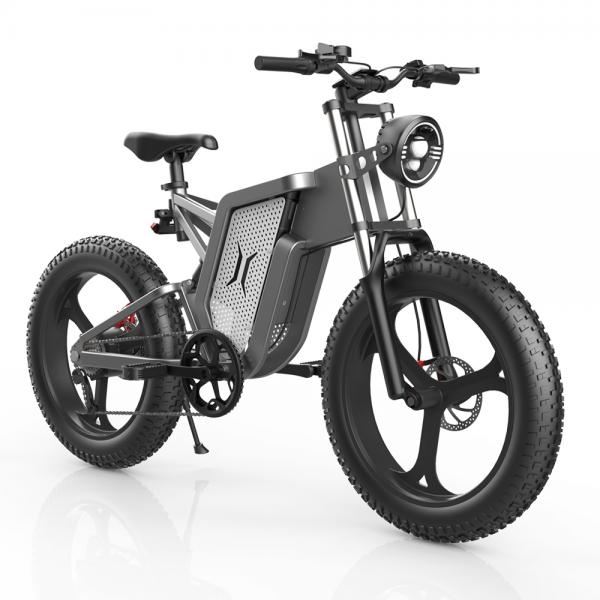 Powerful 20 Inch Electric Bike 2000 Watt Electric Bicycle For Adults Cycling