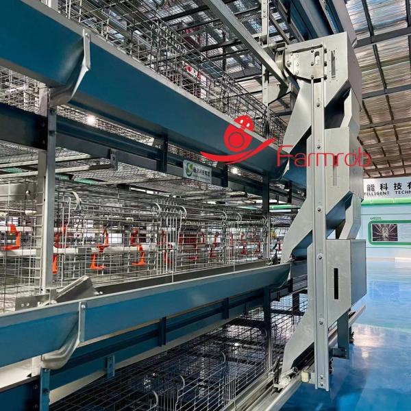 Quality Low Malfunction Rate Poultry Feeding System Exact Control For Pullet Chicken Farming for sale