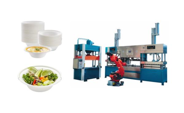 Quality 4000-6000 Pcs/Hour Paper Pulp Molding Machinery For Virgin Pulp Raw Material for sale