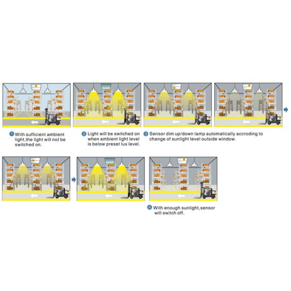 Daylight Harvesting Sensor With Built-In Installation & 12VDC Input MS11