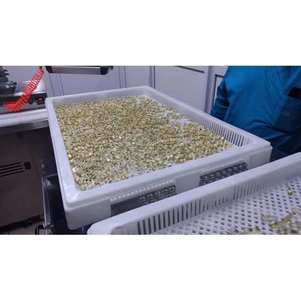 Laboratory Electric Soft Capsule Making Machine Small Scale Stainless Steel