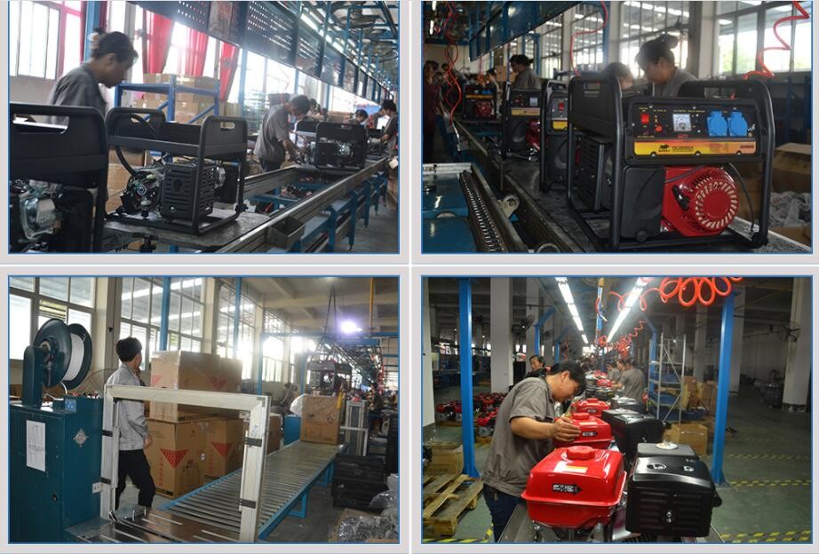 Small Portable 8.5KW Gasoline Powered Generator Hand Start