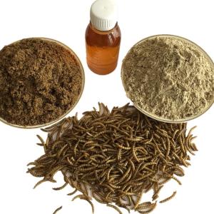 China Mealworm-Based Worm Meal - Unmatched Quality and Performance wholesale
