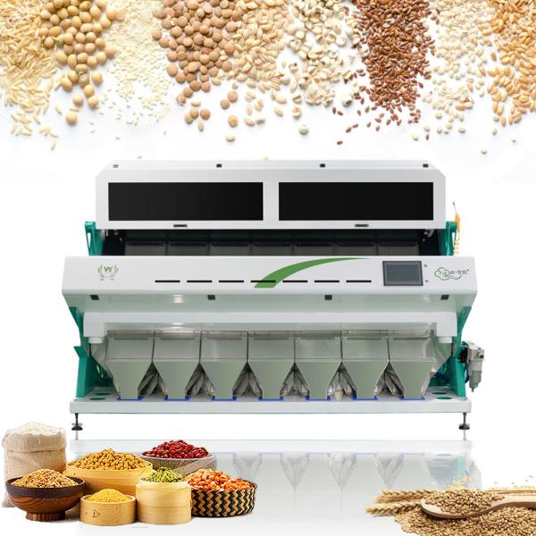 Mini Oats Barley Grain Cereal Wheat Color Sorter LED Variable Light