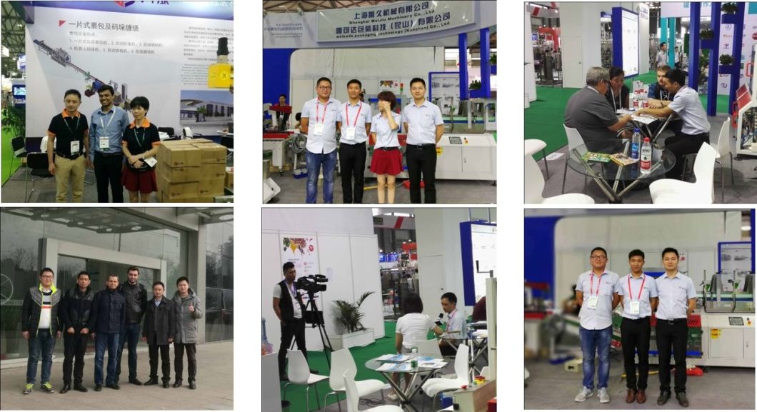 Full Automatic Palletizing Machine for Bags Packing (V-PAK WJ-SMD-20)