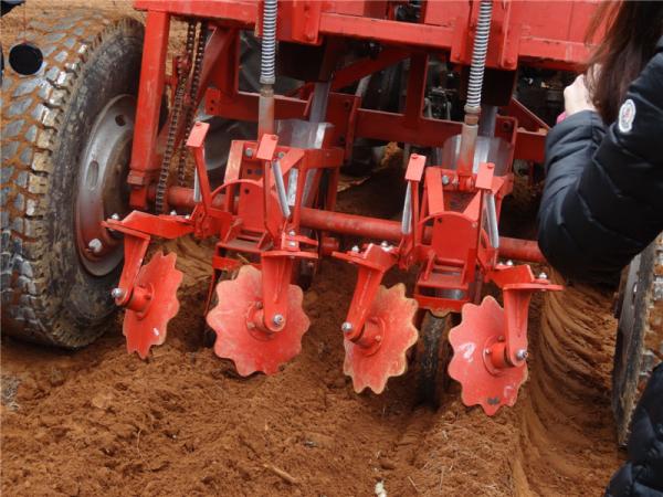 Quality Ridging 120hp Cassava Planter Machine Chop L14cm Tractor Seed Sowing Machine for sale