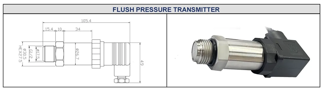 BPHT24-IX M20*1.5 316L Flat Diaphragm Pressure Sensor Transmitter Level Measurement Transducer