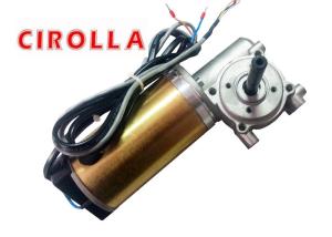 China Golden Color Heavy Load Automatic Sliding Door Motor / DC Gear Motor With Encoder 100W 24VDC wholesale