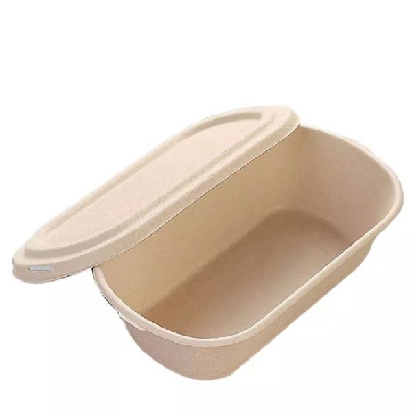 Quality 850ml 1000ml Compostable Sugarcane Container Disposable Take Away Lunch Box for sale