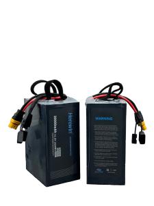 China 30000mAh Herewin Intelligent Flight Battery 14 S 51.8 V 25C LiPo UAV Battery In Soft Pack wholesale