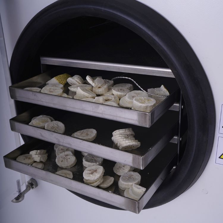 2022 new 100kg/200kg/300kg/400kg/500kg/1000kg per batch vacuum freeze dryer food freeze dryer
