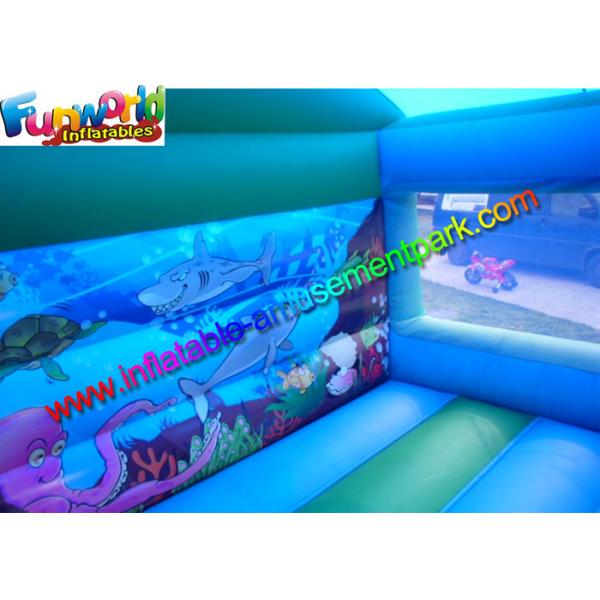 Blue Inflatable Bouncer Slide , Water - Proof Kids Outdoor Inflatable Slides