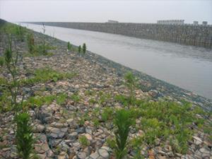 China Low Flexibility Good Embankment Stone Cage Net 80x100mm wholesale