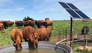 High Performance Solar Submersible Pump For Deep Well DC150V 1300W