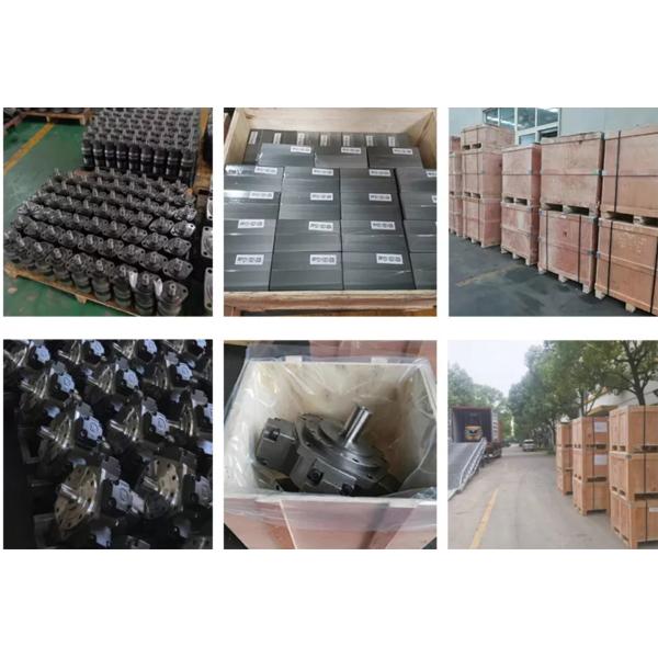 Omp 200 175KW Orbital Hydraulic Piston Motor Pump Cast Iron