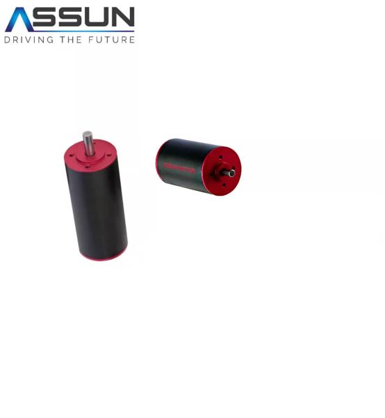 Quality Speed Driver 6000 Rpm Bldc Motor , Coreless 24v Brushless Motor for sale