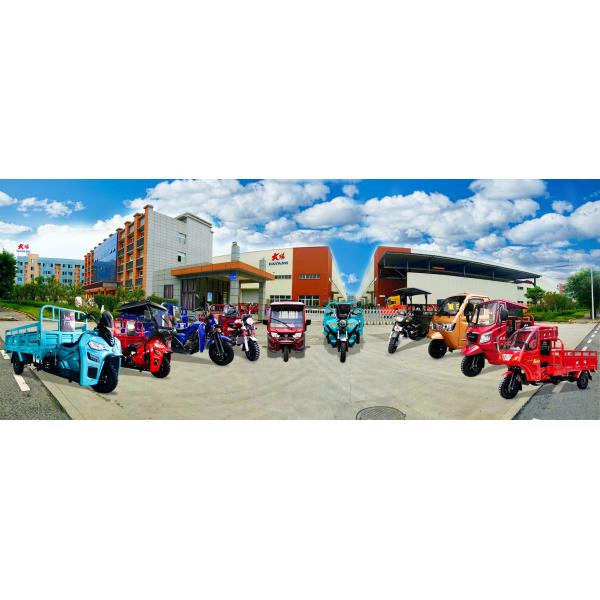 3 Wheels Electric Cargo Tricycle For Adult Passenger Steel Construction